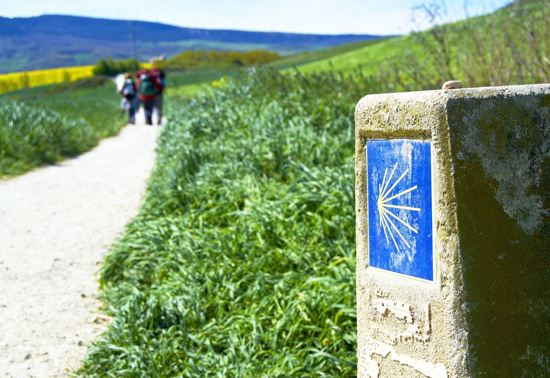 Signal indicating the pilgrims heading to Santiago de Compostela.jpg